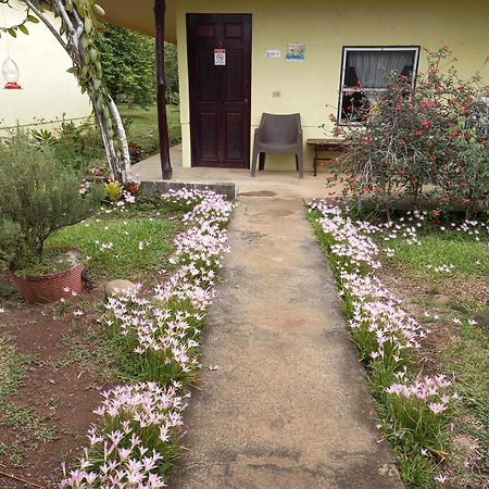 Posada Rural Oasis Caño Negro Exterior foto